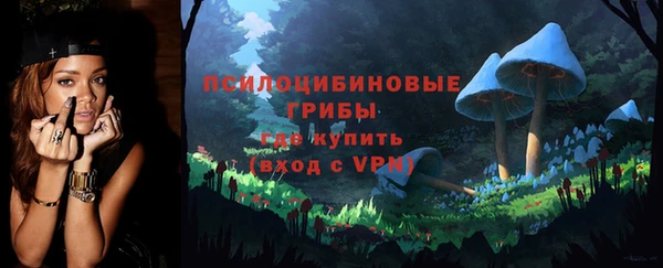 экстази Богданович