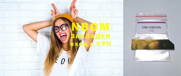 хмурый Богородск