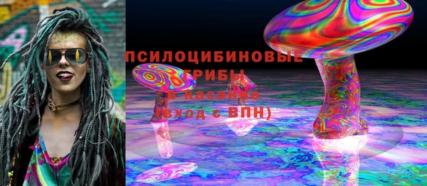 соль ск Богородицк