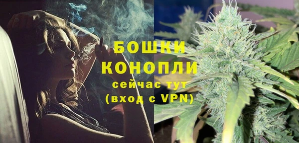 соль ск Богородицк