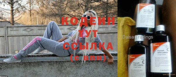индика Киселёвск