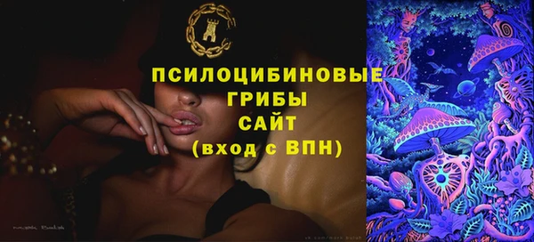 хмурый Богородск