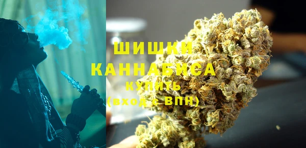 ПСИЛОЦИБИНОВЫЕ ГРИБЫ Белокуриха