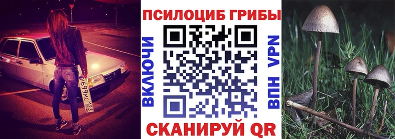 наркотики  Ленинск-Кузнецкий  Псилоцибиновые грибы прущие грибы 