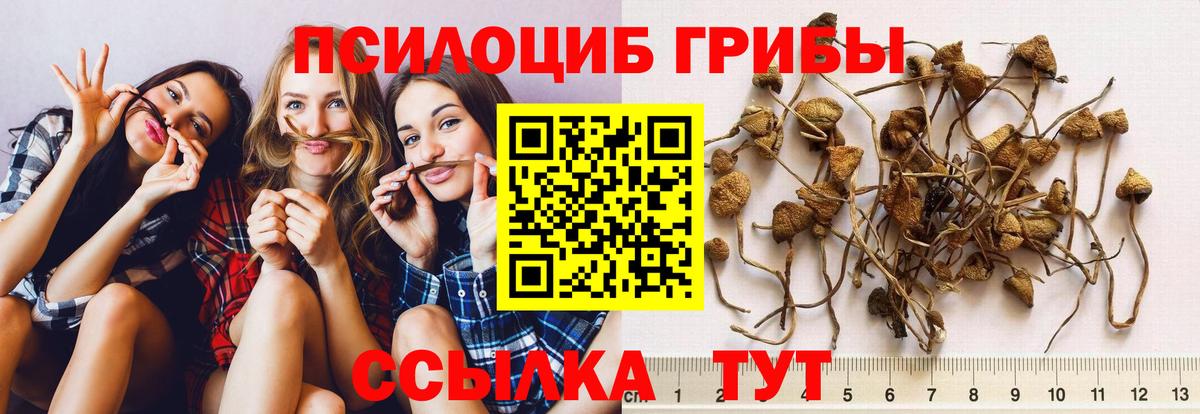 Псилоцибиновые грибы MAGIC MUSHROOMS Ленинск-Кузнецкий