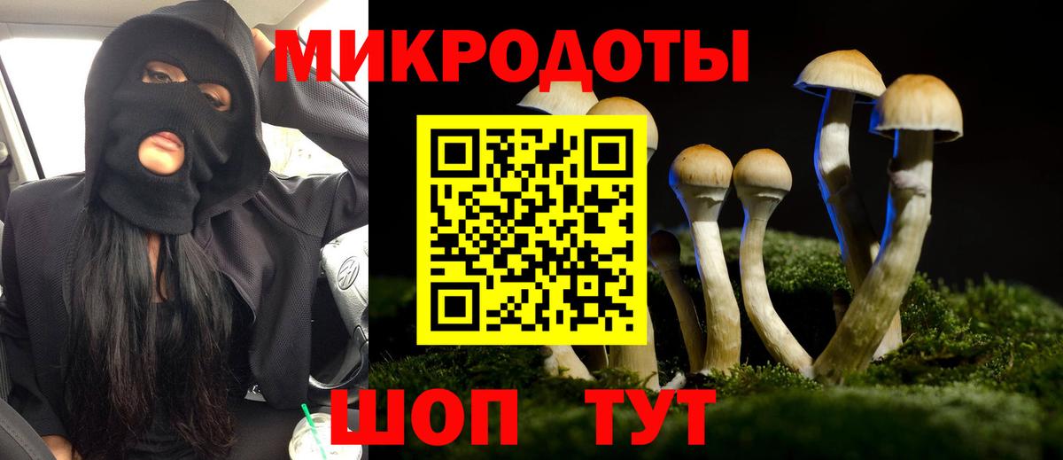 Псилоцибиновые грибы MAGIC MUSHROOMS Ленинск-Кузнецкий