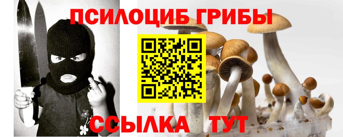 КОКАИН  Ленинск-Кузнецкий  МАРИХУАНА  Альфа-ПВП  Мяу-Мяу  Вход с VPN  Хэш 