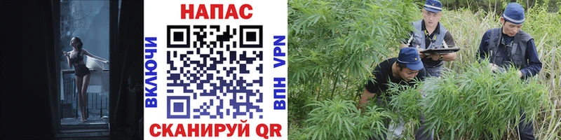 shop клад  Ленинск-Кузнецкий  Канабис планчик  дарнет шоп 